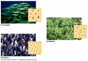 52-02-DispersionPatterns-CL