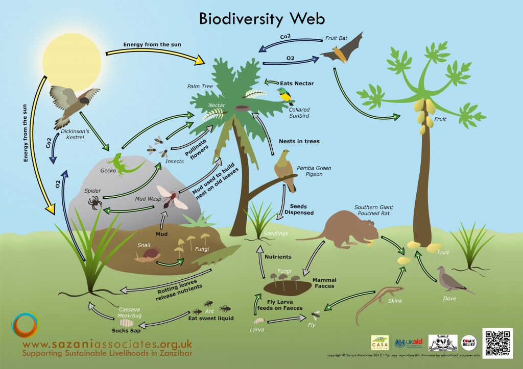 BiodiversityA4