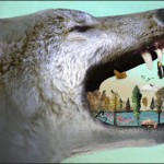 http://wyofile.com/deb-donahue/trophic-cascade-the-case-for-wolves/